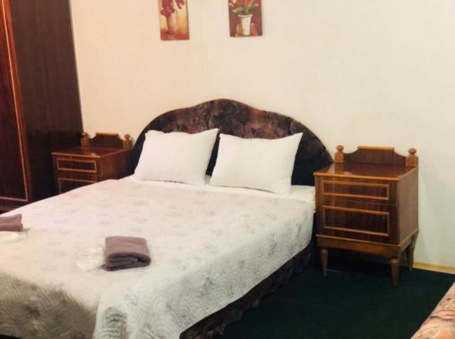 Mini Vesna Bed & Breakfast Dnipro